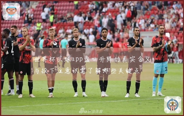 世界杯买球app盘口升降的真实含义与投下注意识需了解哪些关键点