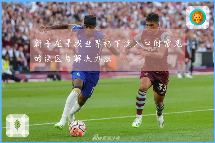 新手在寻找世界杯下注入口时常见的误区与解决办法
