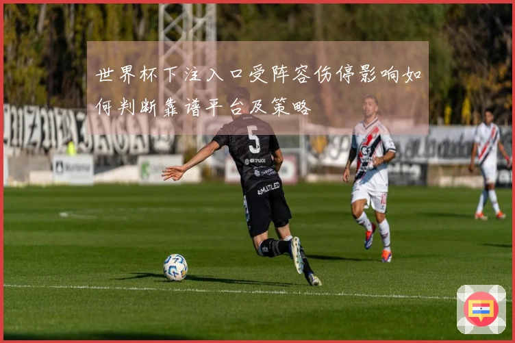 世界杯下注入口受阵容伤停影响如何判断靠谱平台及策略