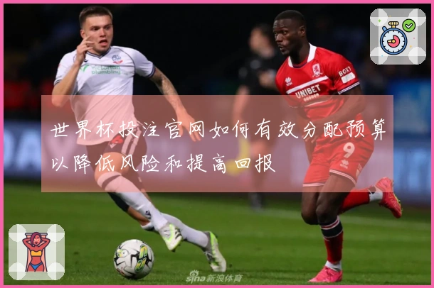 世界杯投注官网如何有效分配预算以降低风险和提高回报
