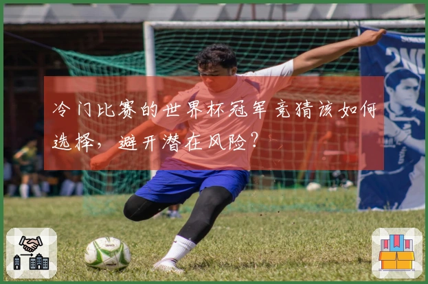 冷门比赛的世界杯冠军竞猜该如何选择，避开潜在风险？