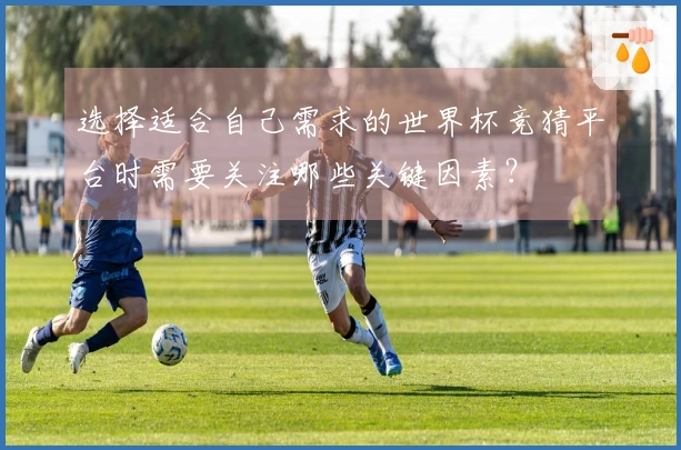 选择适合自己需求的世界杯竞猜平台时需要关注哪些关键因素？