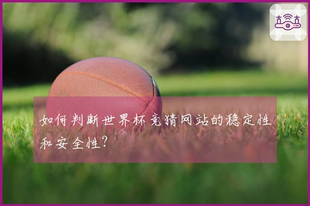如何判断世界杯竞猜网站的稳定性和安全性？