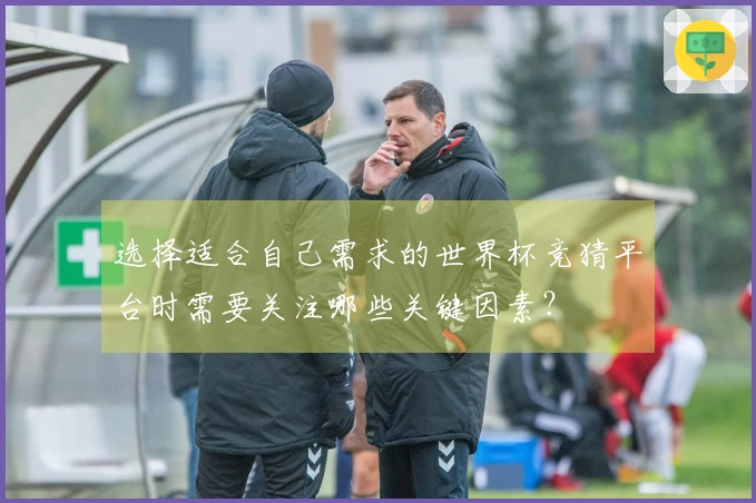 选择适合自己需求的世界杯竞猜平台时需要关注哪些关键因素？