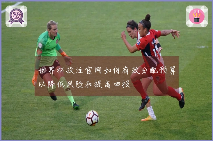 世界杯投注官网如何有效分配预算以降低风险和提高回报
