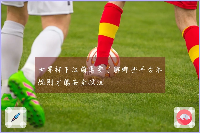 世界杯下注前需要了解哪些平台和规则才能安全投注