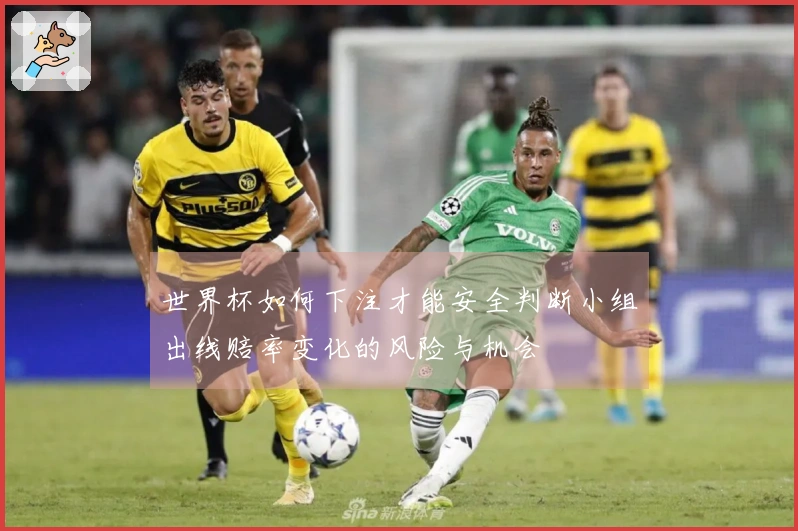 世界杯如何下注才能安全判断小组出线赔率变化的风险与机会