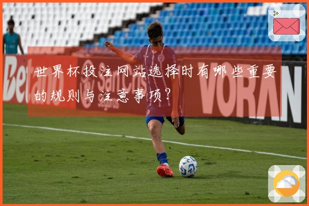 世界杯投注网站选择时有哪些重要的规则与注意事项？