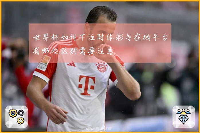 世界杯如何下注时体彩与在线平台有哪些区别需要注意