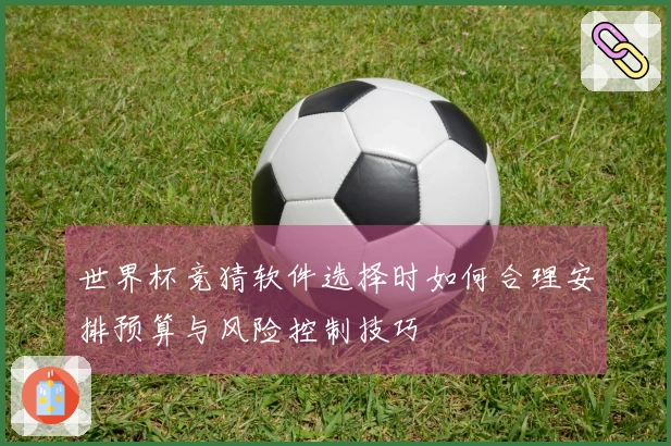 世界杯竞猜软件选择时如何合理安排预算与风险控制技巧