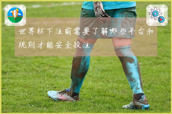 世界杯下注前需要了解哪些平台和规则才能安全投注