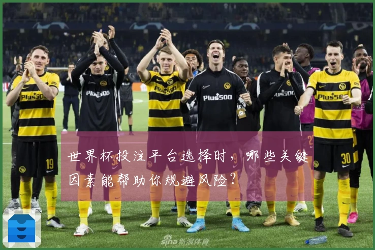 世界杯投注平台选择时，哪些关键因素能帮助你规避风险？