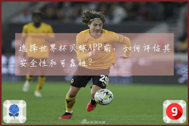 选择世界杯买球APP前，如何评估其安全性和可靠性？