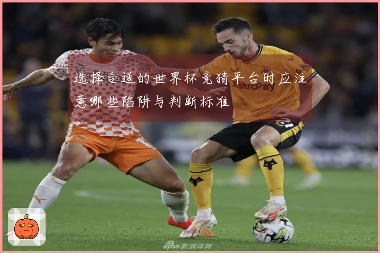 选择合适的世界杯竞猜平台时应注意哪些陷阱与判断标准