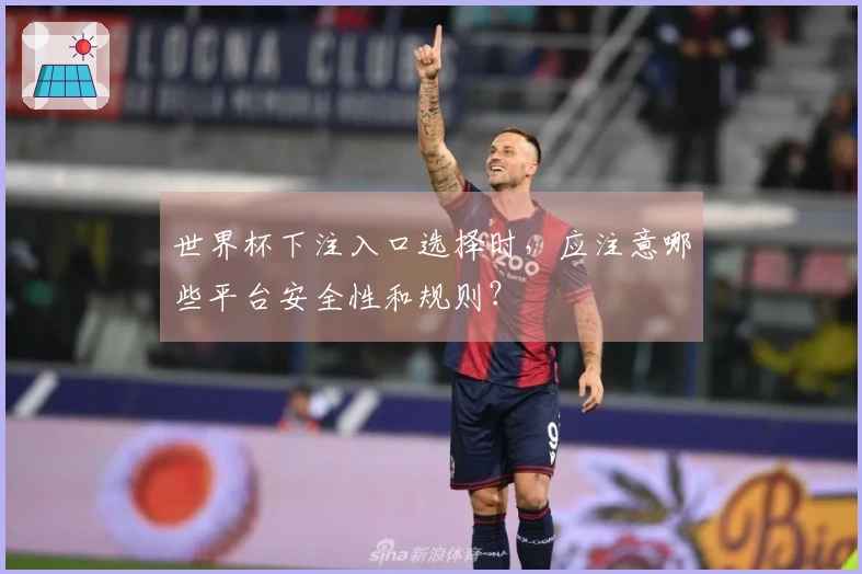 世界杯下注入口选择时，应注意哪些平台安全性和规则？