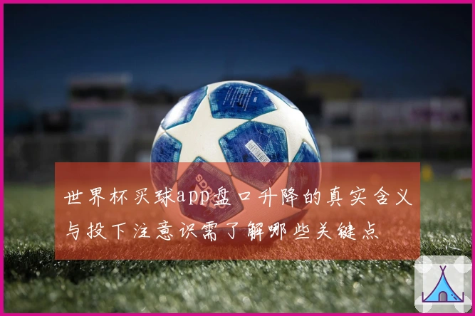 世界杯买球app盘口升降的真实含义与投下注意识需了解哪些关键点