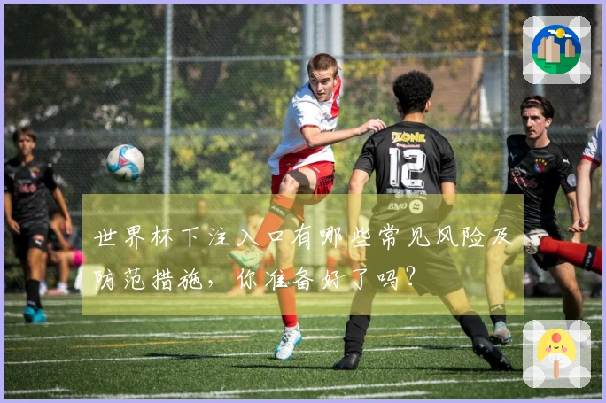 世界杯下注入口有哪些常见风险及防范措施，你准备好了吗？
