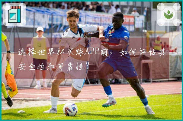 选择世界杯买球APP前,如何评估其安全性和可靠性?