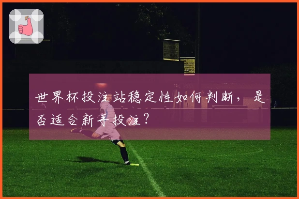 世界杯投注站稳定性如何判断，是否适合新手投注？