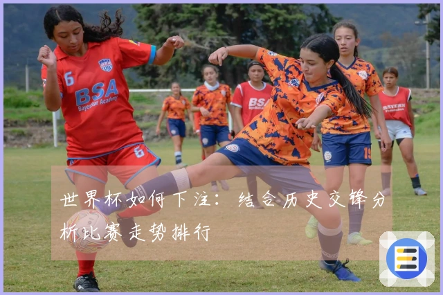 世界杯如何下注：结合历史交锋分析比赛走势排行