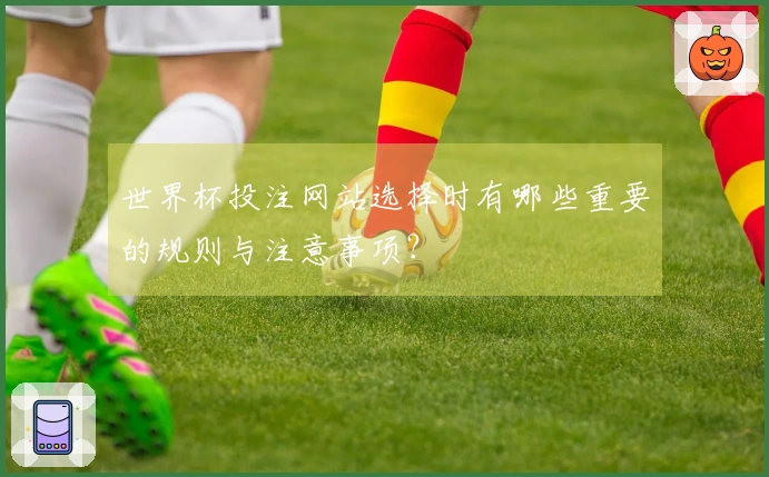 世界杯投注网站选择时有哪些重要的规则与注意事项？