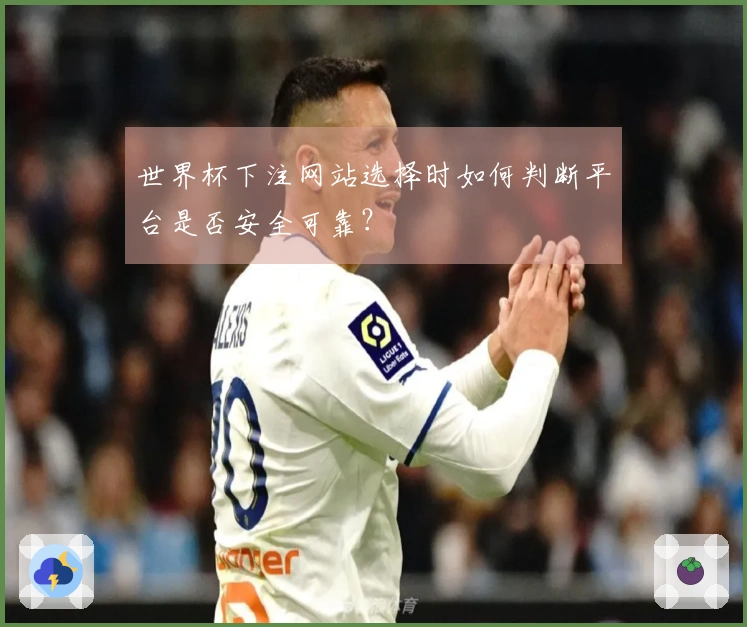 世界杯下注网站选择时如何判断平台是否安全可靠？