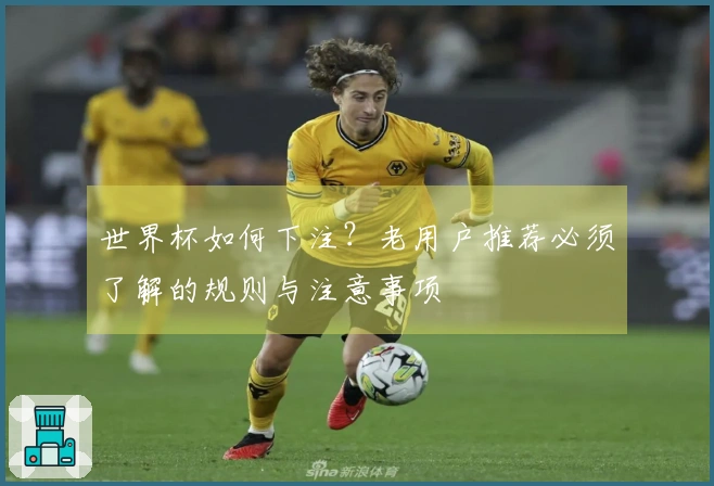 世界杯如何下注？老用户推荐必须了解的规则与注意事项