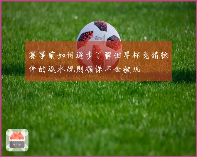 赛事前如何逐步了解世界杯竞猜软件的返水规则确保不会被坑