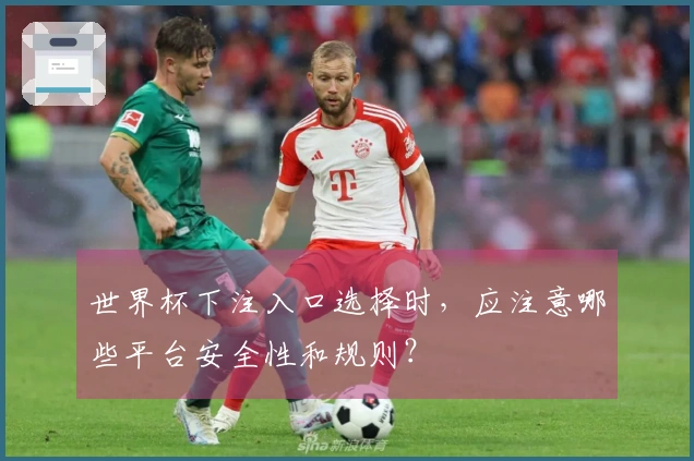 世界杯下注入口选择时,应注意哪些平台安全性和规则?