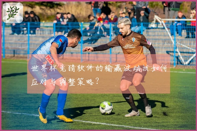 世界杯竞猜软件的输赢波动该如何应对与调整策略？