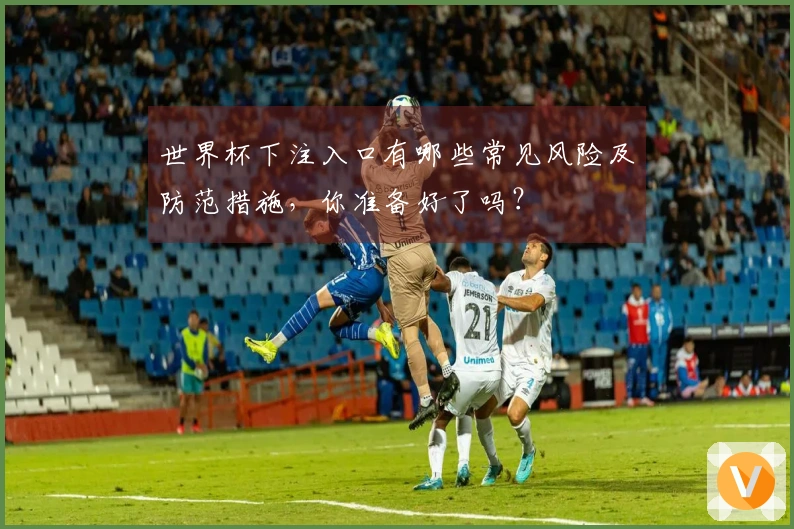 世界杯下注入口有哪些常见风险及防范措施,你准备好了吗?
