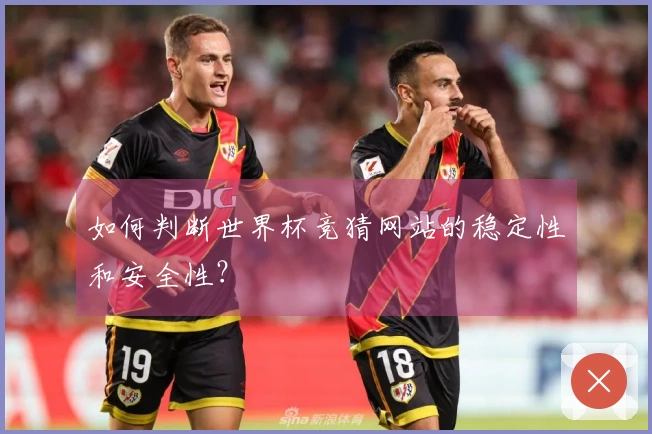 如何判断世界杯竞猜网站的稳定性和安全性？