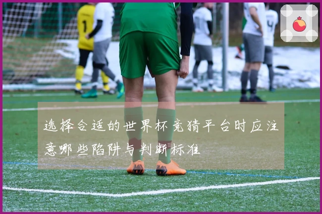 选择合适的世界杯竞猜平台时应注意哪些陷阱与判断标准