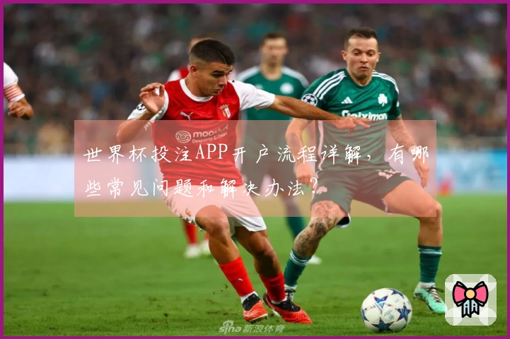 世界杯投注APP开户流程详解，有哪些常见问题和解决办法？